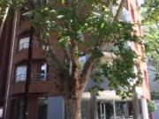 Excelente departamento 2 ambientes en alquiler en Olivos