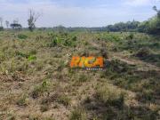 Excelente fazenda à venda com 1.000 hectares na Zona...