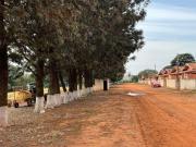 EXCELENTE FAZENDA A VENDA NA REGIÃO DE ITABERÁ NO ESTADO...