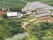 EXCELENTE FAZENDA CAFEEIRA EM CRUZEIRO DA FORTALEZA MG