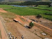 Excelente fazenda de 451 ha com ótima estrutura em...