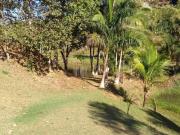 EXCELENTE FAZENDA PARA INVESTIDORES COD: 4853 F: 11...