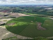 Excelente fazenda produtora de gra? Os na regia? O de...