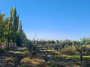 Excelente finca en coquimbito