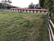 Excelente Haras ao lado do Aeroporto Regional !