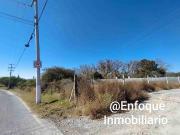 EXCELENTE INVERSIÓN, TERRENO EN VENTA SOBRE AV. MUSA DE...