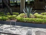 Excelente local en Polanco