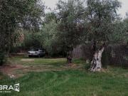 Excelente Lote a la Venta