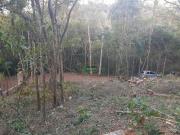 Excelente lote condominio Parságada!