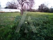 Excelente lote de terreno rústico situado em Almancil...