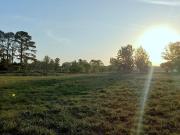 EXCELENTE LOTE EN ETAPA 2 CON FONDO AL GOLF EN PINARES...