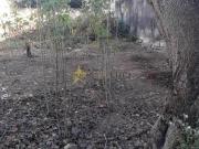 EXCELENTE LOTE NO BRASILEIA