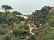 Excelente Moradia térrea com lote de 1670 m2, com...