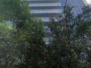 Excelente Oficina en Renta 1,745 m2 en Mariano Escobedo. N5