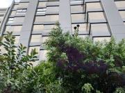 Excelente Oficina en Renta 39 m2, Anzures, cerca de...