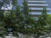 Excelente Oficina en Renta 42.98 m2 en Mariano Escobedo. PB