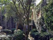 EXCELENTE OPORTUNIDAD CASA EN SANTO DOMINGO, COL. COVE