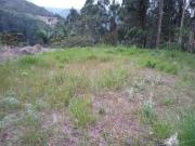 ¡EXCELENTE OPORTUNIDAD DE INVERSIÓN EN BARBOSA ANTIOQUIA...