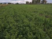 Excelente oportunidad de TERRENO en Venta