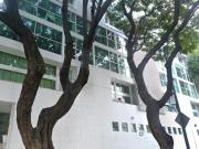 excelente oportunidad en la colonia narvarte, benito...