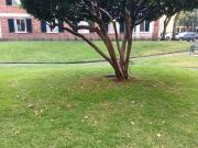 EXCELENTE OPORTUNIDAD EN PEDREGAL 2