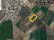 Excelente Oportunidad. Terreno en El Colorado, El...