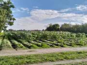 EXCELENTE OPORTUNIDAD, TERRENO EN VENTA A 5 MINUTOS DE...