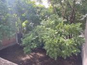 EXCELENTE OPORTUNIDAD, TERRENO EN VENTA EN...