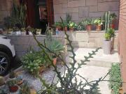 EXCELENTE OPORTUNIDAD VENDO CASA SAN BORJA URB. JAVIER...