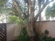 Excelente Oportunidade em Local Nobre ? Casa Térrea com...