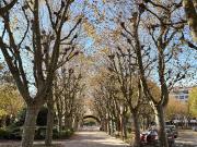 Excelente Oportunidade Para Investidores 705m² Válega