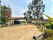 Excelente Precio! Parcela Foresta Zapallar