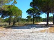 Excelente Propriedade Grândola