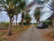 Excelente Propriedade no INCRA 7 Asfalto até porta da...