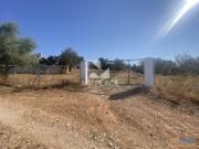 Excelente quinta com moradia para renovar situada em...