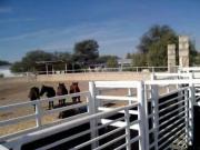 EXCELENTE RANCHO EN VENTA EN AGUASCALIENTES CON LIENZO A...