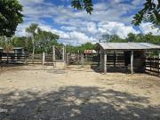 ¡Excelente Rancho en venta! Sucila, Yucatán