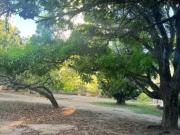 Excelente Ã¡rea no Antares