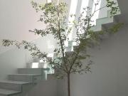 EXCELENTE RESIDENCIA NUEVA CASA AUTOR, PARAJE, 100 MTS...