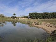 EXCELENTE SÍTIO COM GRANJA A VENDA EM TATUÍ SP* ?...