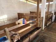 Excelente Sitio Nossa senhora aparecida no bairro cupim!