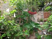 Versátil sobrado para venda em Bela Vista com 3 quartos,...