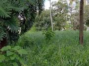 Excelente terreno à venda na região do Tremembé Zona Norte