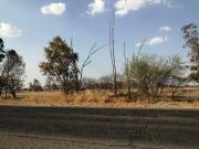 EXCELENTE TERRENO AGRICOLA EN EJIDO TEQUISQUIAPAN SUP....