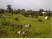 Excelente terreno Bardeado en Col. San Andrés Ahuayucan,...