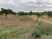 Excelente Terreno com 7460m2 Quinta do Anjo