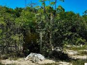 Prolongación la Luna. Excelente terreno atrás 7 eleven...