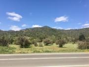 EXCELENTE! Terreno de 252 Hectáreas En Camino Lo Orozco,...