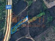 Excelente Terreno em zona de Pinhal