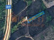 Excelente Terreno em zona de pinhal e eucaliptal